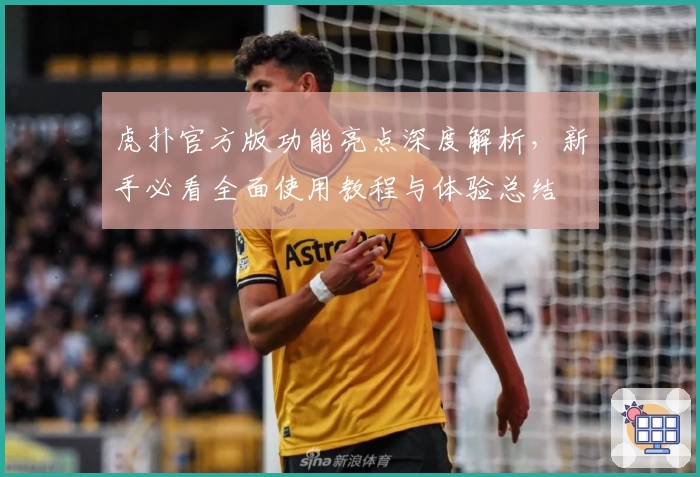 虎扑官方版功能亮点深度解析，新手必看全面使用教程与体验总结