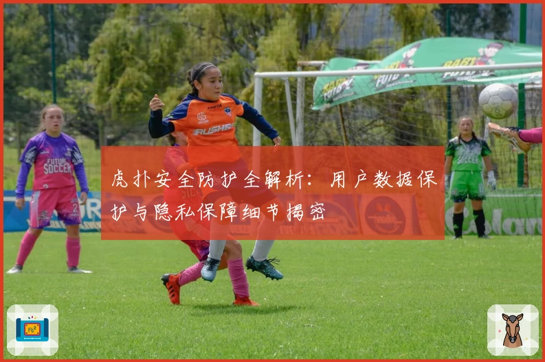 虎扑安全防护全解析：用户数据保护与隐私保障细节揭密