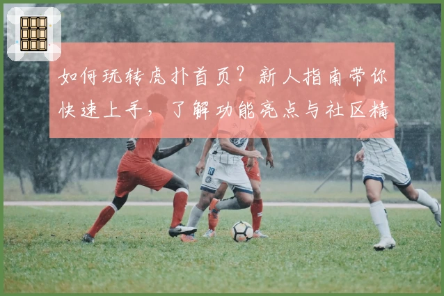 如何玩转虎扑首页？新人指南带你快速上手，了解功能亮点与社区精华