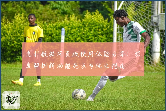 虎扑数据网页版使用体验分享：深度解析新功能亮点与玩法指南